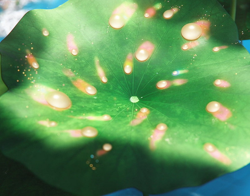 Воспитанник ижевской спортивной школы Артур Новосёлов завоевал бронзу на Кубке Европы по дзюдо